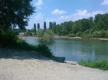 La spiaggia di Torino? Esiste e si trova nel parco del Meisino