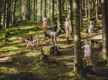 Il respiro del bosco: la natura cura stress e depressione