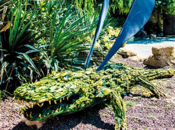 Animali fantastici e tesori nascosti