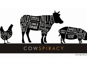 Cowspiracy – The Sustainability Secret