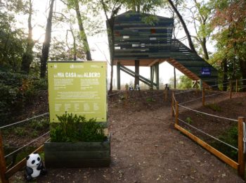 Inaugurata all’Oasi WWF di Vanzago la casa sull’albero progettata dai bambini