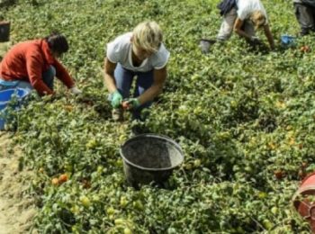 Un asilo notturno per accogliere i figli dei braccianti agricoli