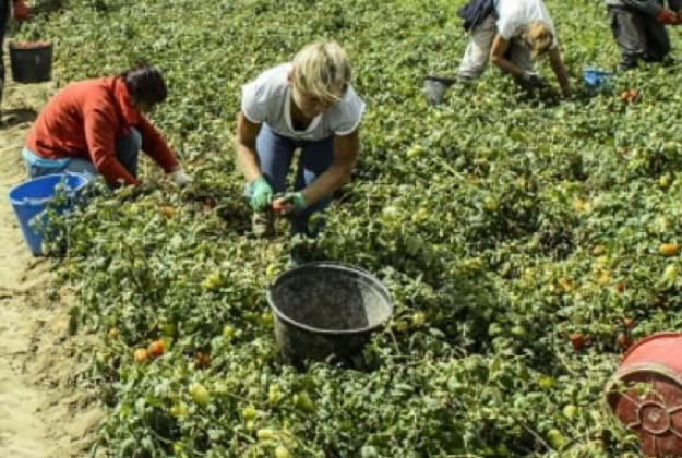 Un asilo notturno per accogliere i figli dei braccianti agricoli