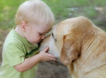Con un cane in casa ti ammali di meno