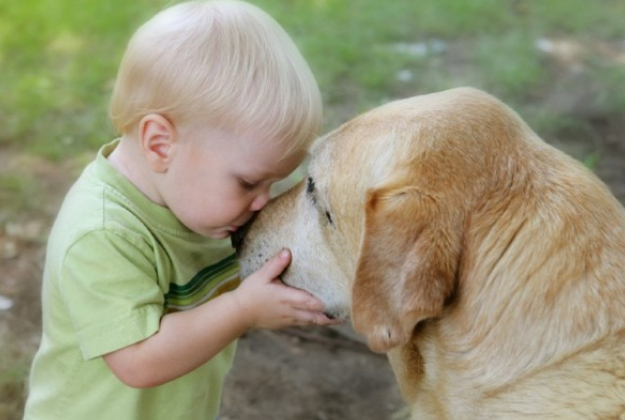 Con un cane in casa ti ammali di meno