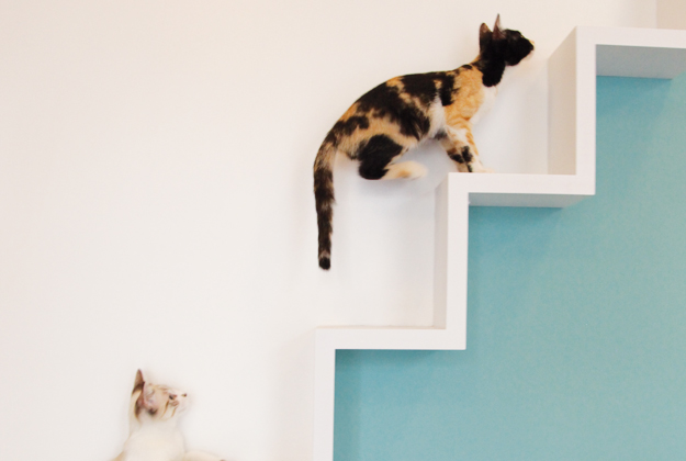 Crazy Cat Cafe – Milano