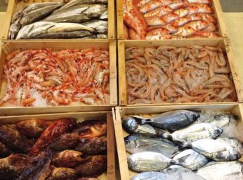Pescheria Gallina – Torino