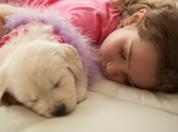 Non riesci a dormire? Dormi col tuo cane!