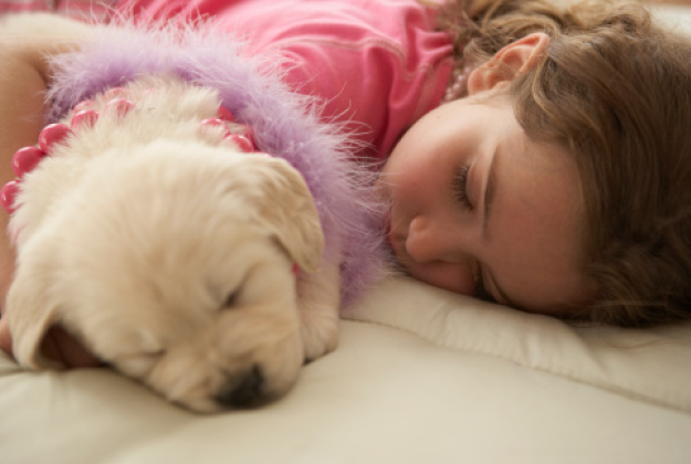 Non riesci a dormire? Dormi col tuo cane!