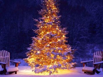 Un Natale alternativo