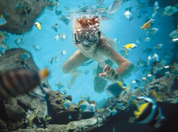 Mini-Sub nel mondo sommerso