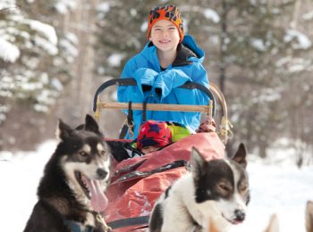 Sleddog
