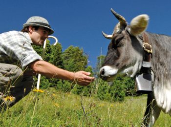 Slow Meat: sì alla carne ma solo di qualità