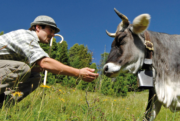 Slow Meat: sì alla carne ma solo di qualità