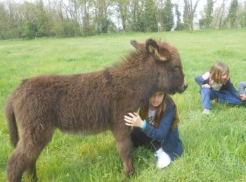 Campi estivi a San Giuliano Milanese (MI)