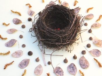 Creatività in mandala naturali