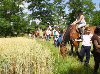 Due camp a Milano e una vacanza a Peghera (BG)