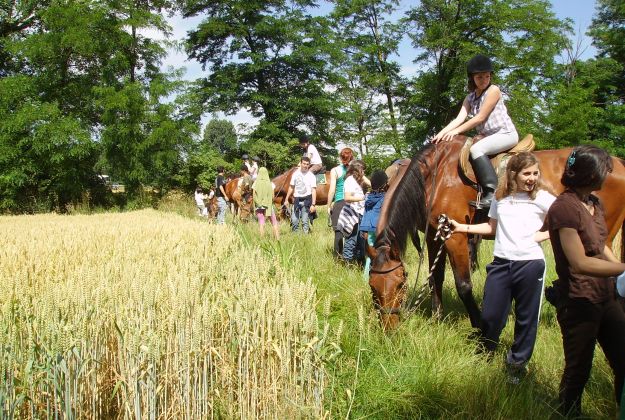 Due camp a Milano e una vacanza a Peghera (BG)