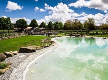 La piscina si è fatta bio