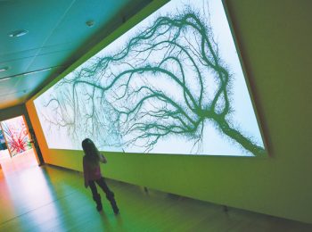 MUSE Trento: la scienza divertente