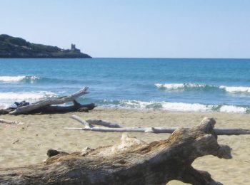 Le Spiagge Family Della Toscana Giovani Genitori