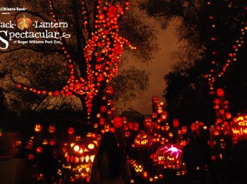 Jack-o-Lantern party allo zoo