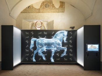 Leonardo da Vinci in due mostre