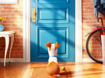 Pets – Vita da animali