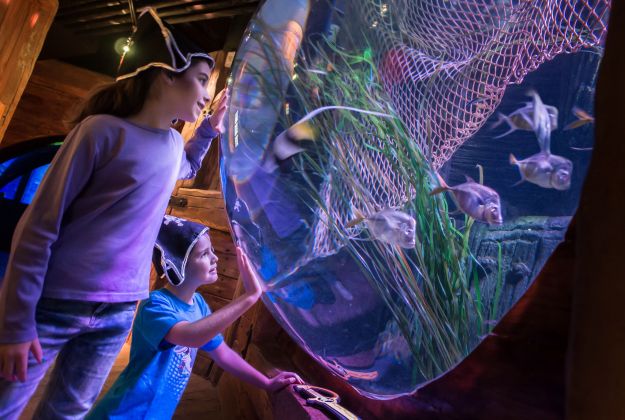 Carnevale Gardaland SEA LIFE Aquarium
