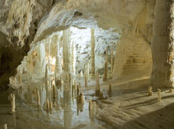 Grotte di Frasassi – Genga (AN)