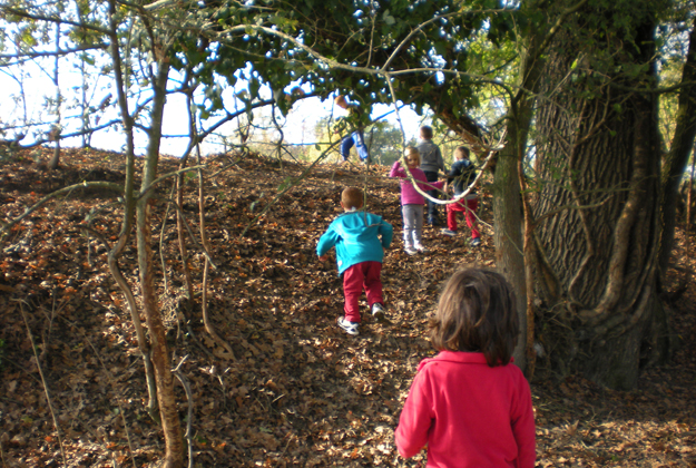 A casa di signor bosco