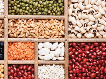 Più orto per tutti: Slow Food & the Good Seeds