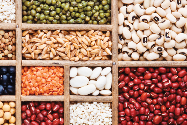 Più orto per tutti: Slow Food & the Good Seeds