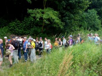 Camminata con i bastoncini tra collina e Po