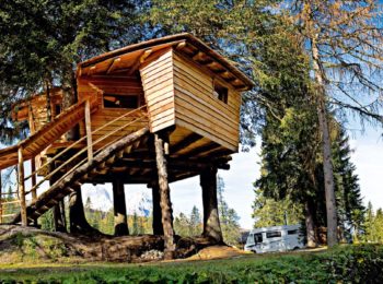 La casa sull’albero