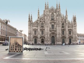 Safari urbano Milano