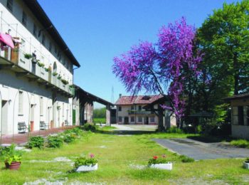 Lab costruzione capanna di canne