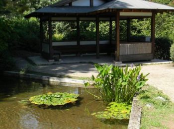 Orto Botanico – Roma