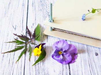 Una creatività di carta e di fiori