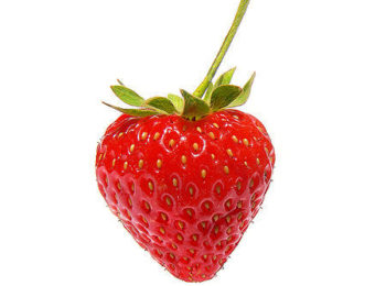 Sagra della Fragola