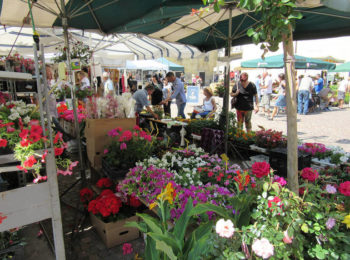 Fiera delle erbe