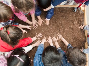 La Giornata della Biodiversità