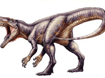 Dinodetective