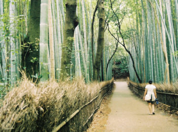 L’hai mai fatto il Forest Bathing?