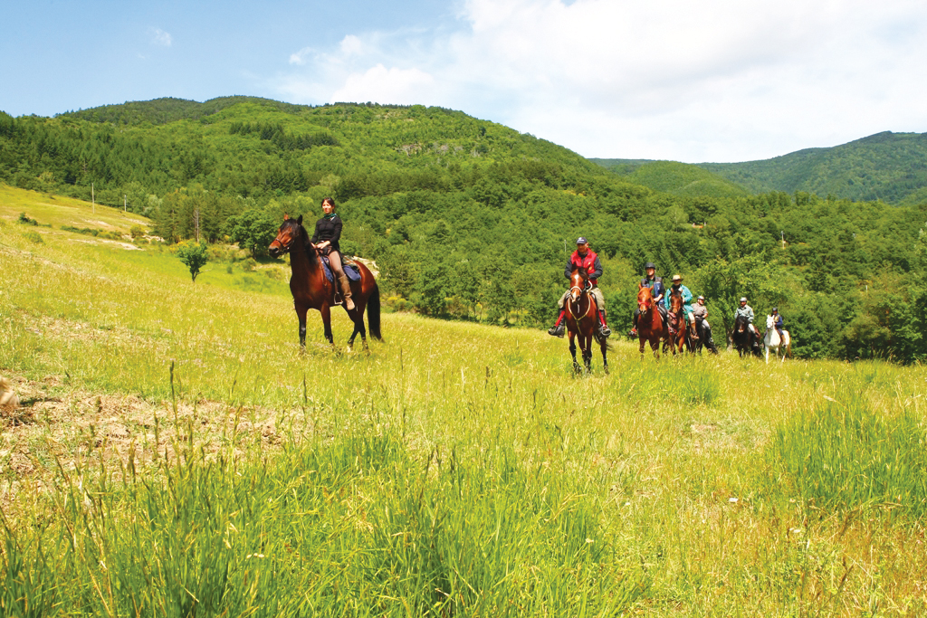 Parchi a cavallo con Legambiente