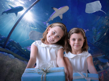 SEA LIFE Aquarium compie 9 anni