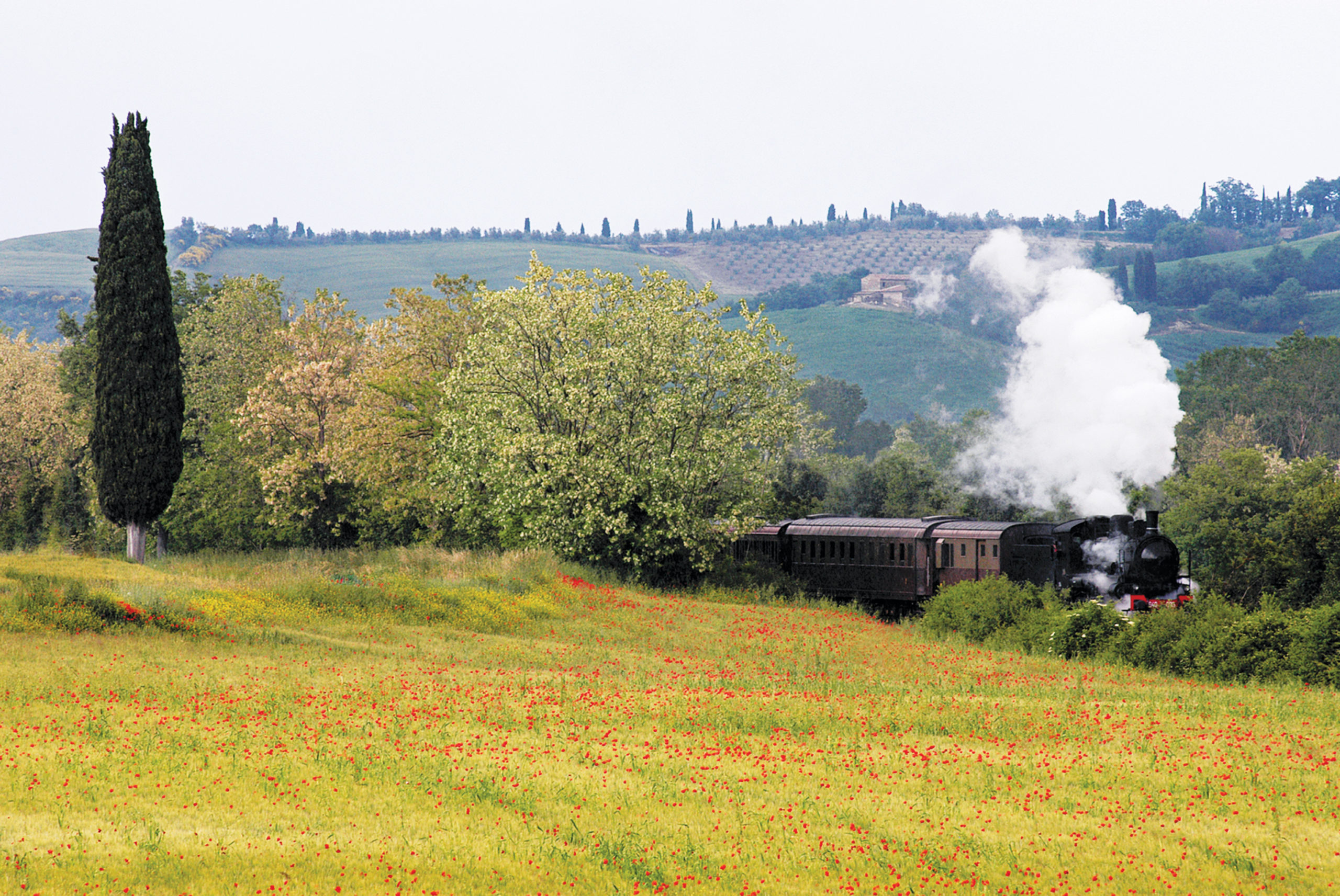 Un viaggio nel tempo con Treno Natura