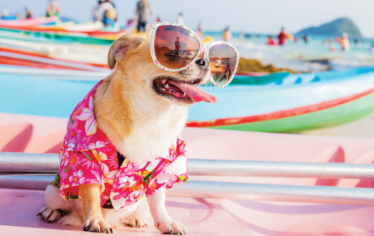 Una vacanza family e pet friendly