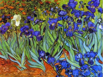 Vaso di fiori… di ieri e di oggi