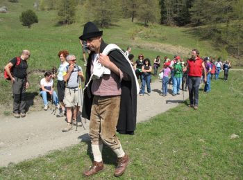 Berlicche e i misteri del gran bosco